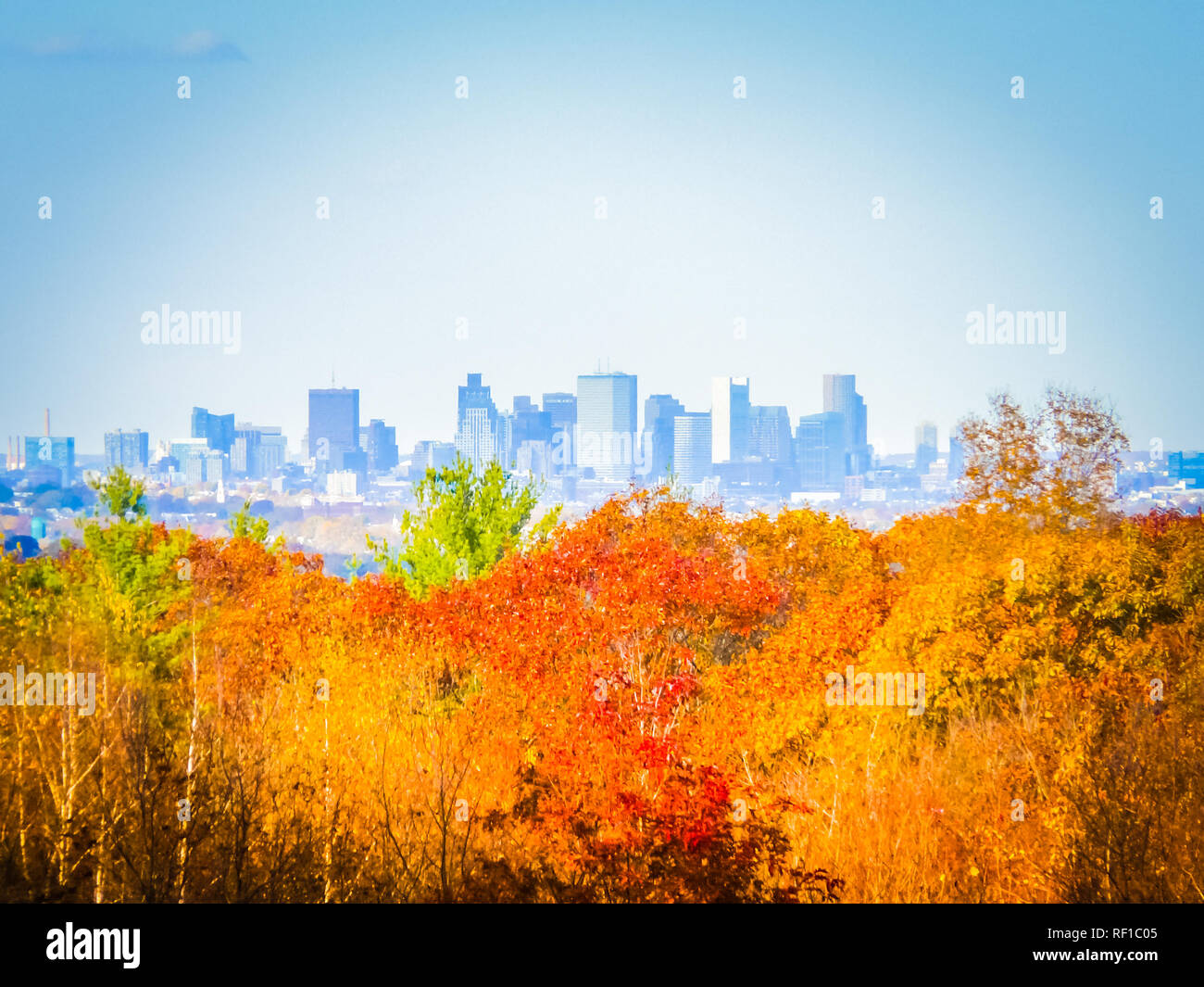 Are Dogs Allowed At Blue Hills Reservation