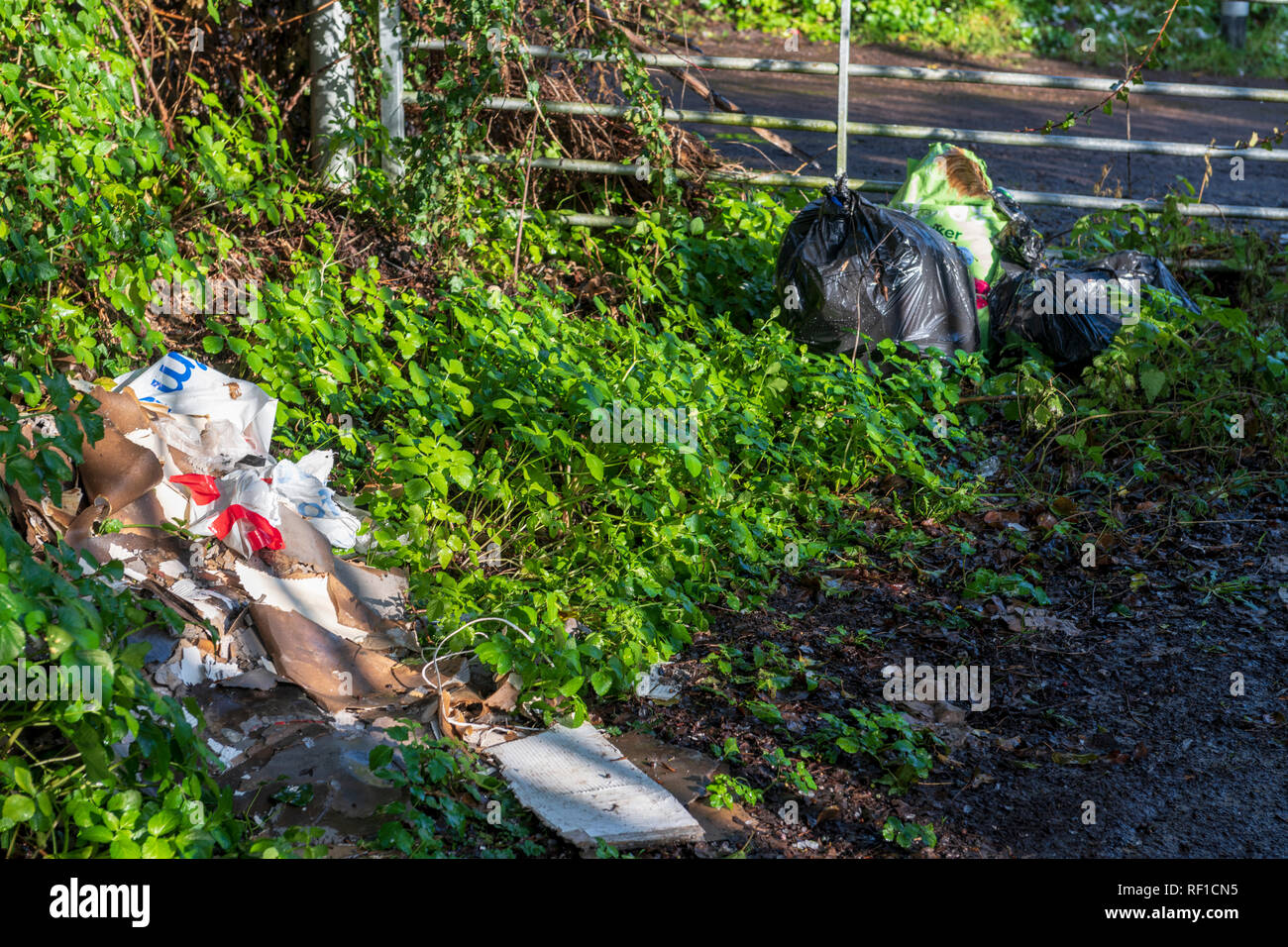 Environmental dumping of rubbish fly tipping Stock Photo Alamy