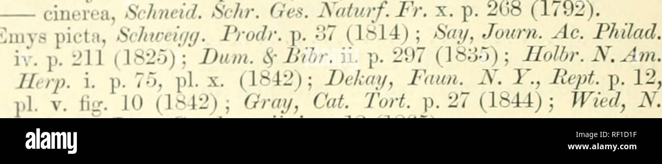 . Catalogue of the chelonians, rhynchocephalians, and crocodiles in the British Museum (Natural History). New ed. By George Albert Boulenger. Chelonia (Genus); Crocodiles; Rhynchocephalia. 72 TESTUDINIU.^. 1. Chrysemys picta. Testudo ].icta, ScJtmid. Schildkr. p. 348 (1783); Schoepff, Testud. p. 1^0, pi. iv. (1792); Baud. Rept. ii. p. 1(34 (lti02; ; Leco7ite, Ann. Lijc. N. Y. iii. p. 115 (1830) Emy. Acta Ac. Lcop.-Curol. xxxii. i. p. 12 (18(&gt;)). TeiTapeue picta, Bonap. Osserv. .s. sec. Ed. d. R. A. p. 158 (1830). Chrvsemvs picta, Gray, Cat. Sh. Rept. i. p. 32 (1855) ; Atjassiz, Cantr.'K. U. Stock Photo