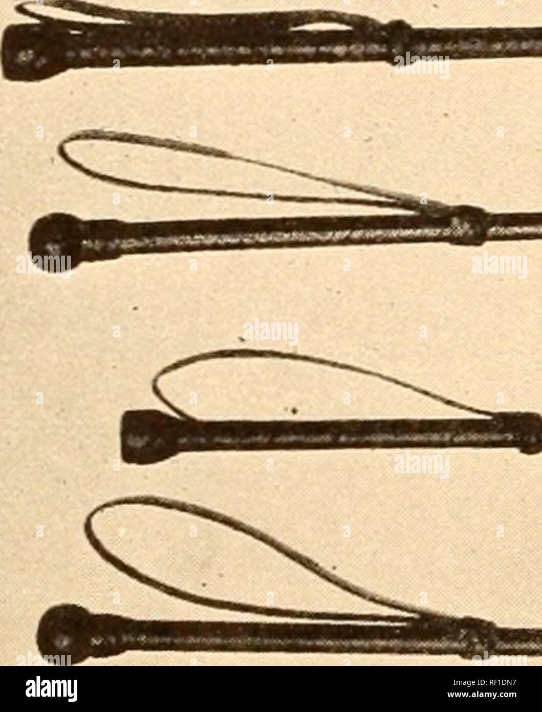 Riding crops hires stock photography and images Alamy