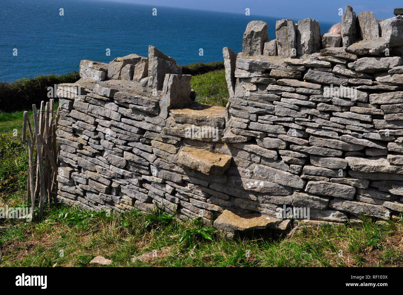 Dry stone wall with stile built in on the Isle of Purbeck, Dorset. Rough limestone wall divides sloping coastal fields with the sea in the background. Stock Photo