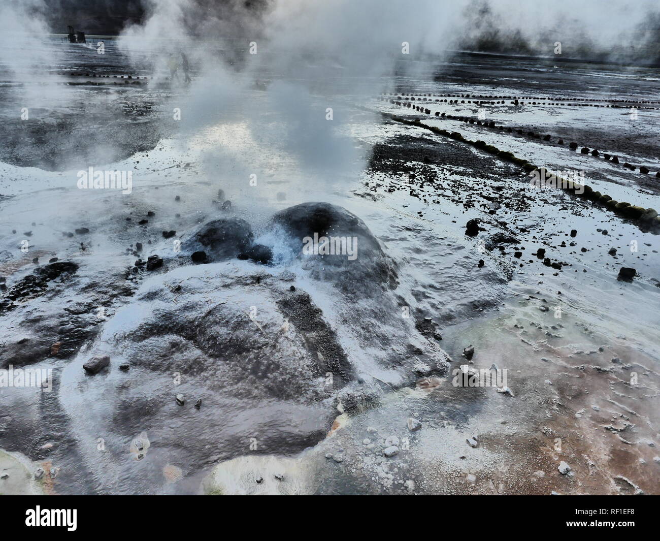 Closeup picture of an active natural geyser ejecting steam and hot