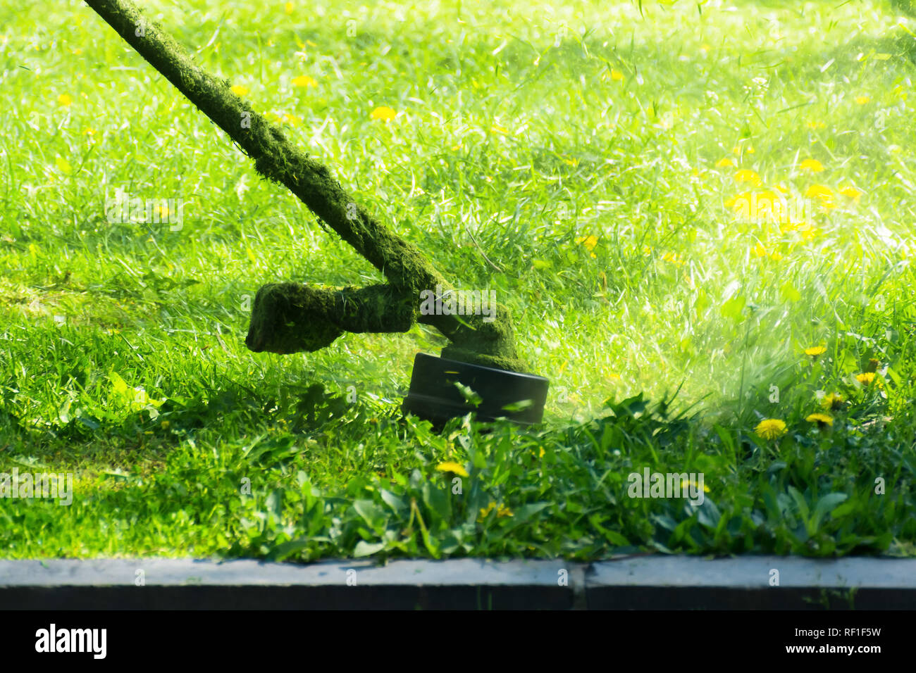 crazy grass cutting with brushcutter. head with nylon line cutting