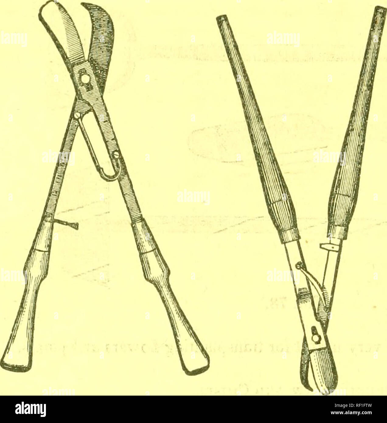 Shrub lopping tools hires stock photography and images Alamy