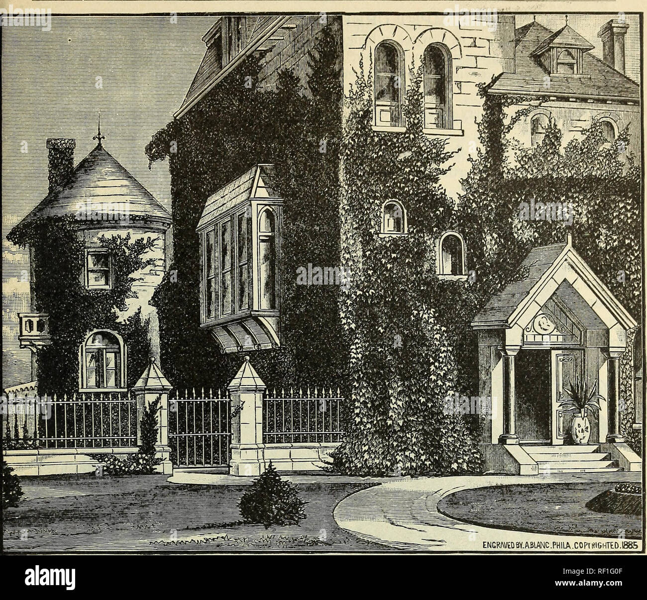. Catalogue of Andorra Nurseries : choice hardy trees, shrubs, plants, roses, and fruit. Nurseries (Horticulture) Pennsylvania Philadelphia Catalogs; Nursery stock Pennsylvania Catalogs; Plants, Ornamental Catalogs; Trees Seedlings Catalogs; Flowers Catalogs; Fruit Catalogs. CHESTNUT HILL, PHILAD'A, PA, 43. HOUSE COVERED WITH AMPELOPSIS VEITCHII. HARDY CLIMBING PLANTS AND VINES. Actinidia polygama. Strong-growing climber from Japan, of exceptional value where a quick-growing, clean-foliaged plant is desired. Foliage glossy green, and flowers white with a purple center. Akebia quinata. A charmi Stock Photo