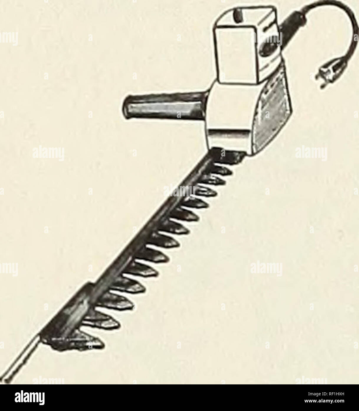 Hedge Shears Stock Photos Hedge Shears Stock Images Page 9 Alamy
