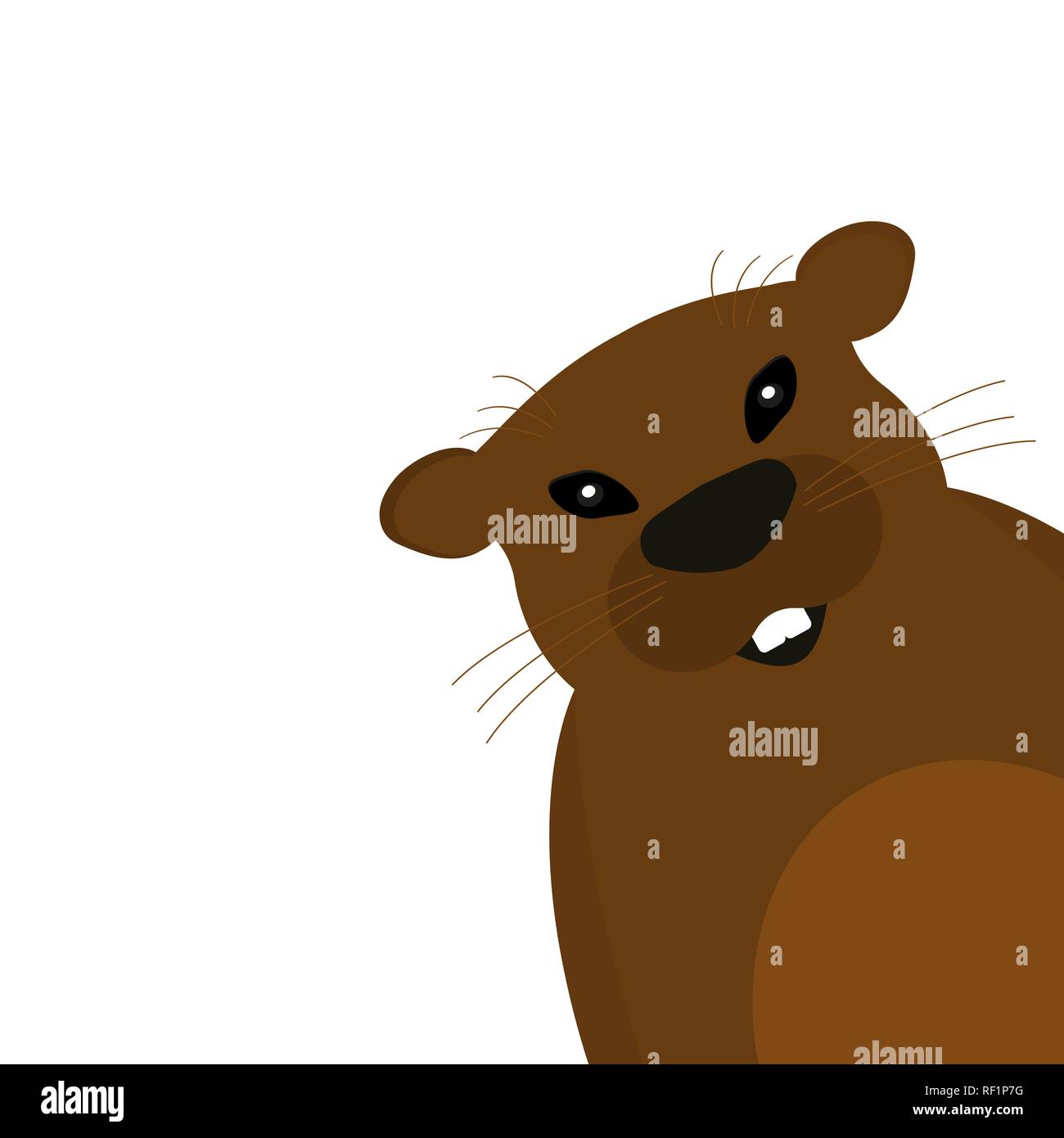 Groundhog on a white background Stock Vector Image & Art - Alamy