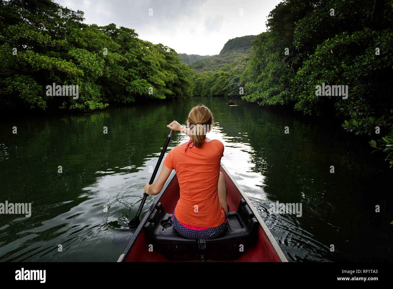 Woman canoeing on a river in mangrove forest, Iriomote, JApan Stock Photo