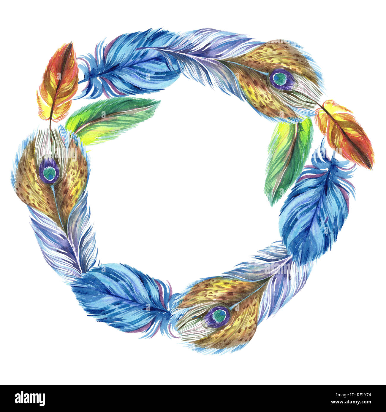 Colorful feathers. Watercolor bird feather from wing isolated ...