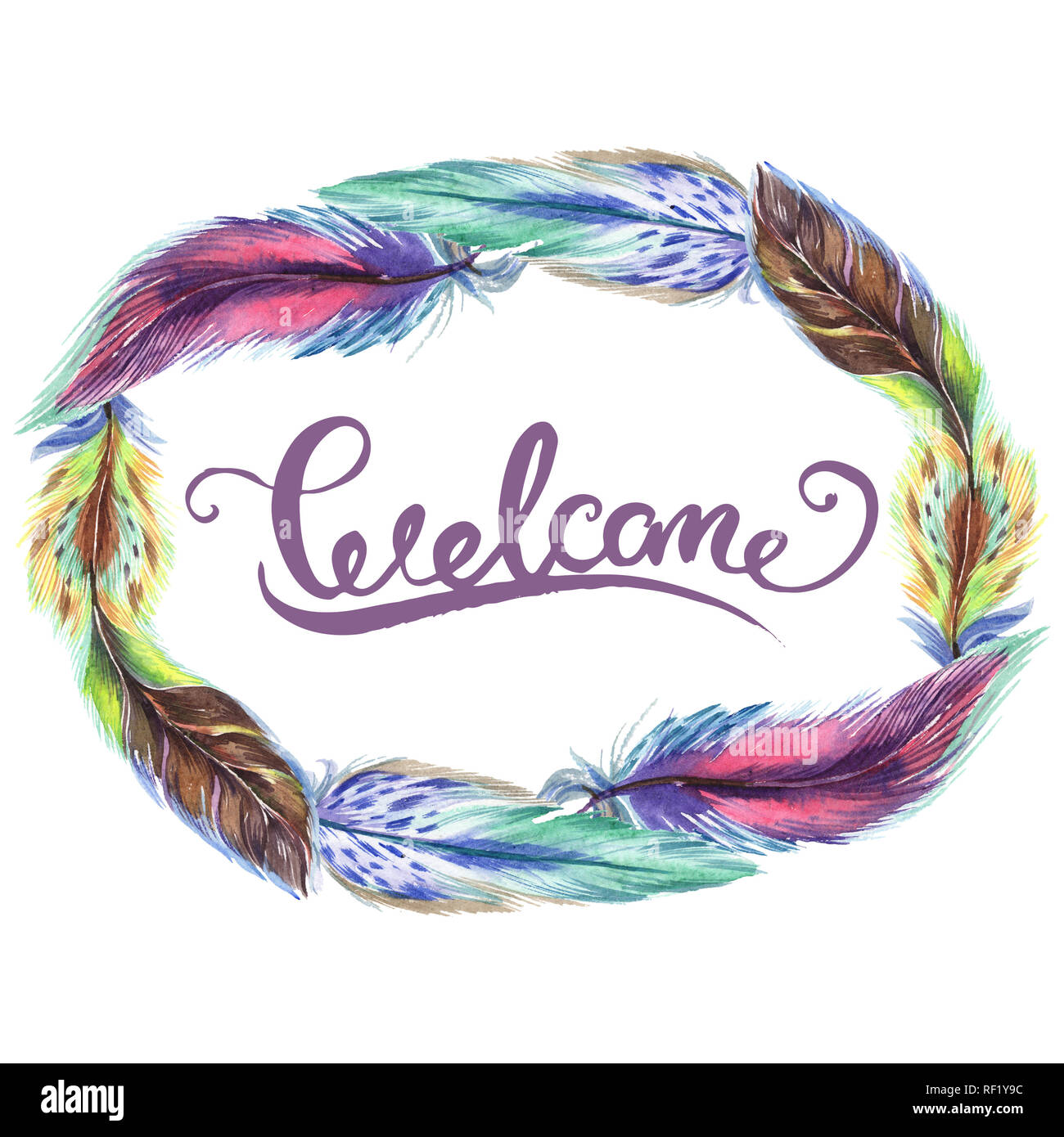 Colorful feathers. Watercolor bird feather from wing isolated ...