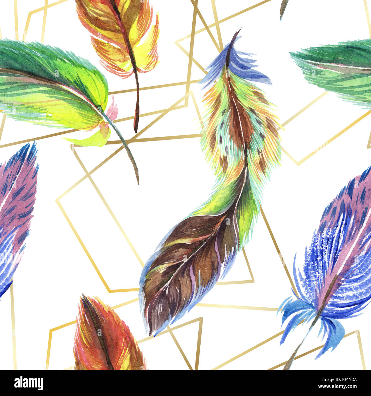 Colorful feathers. Watercolor bird feather from wing isolated ...