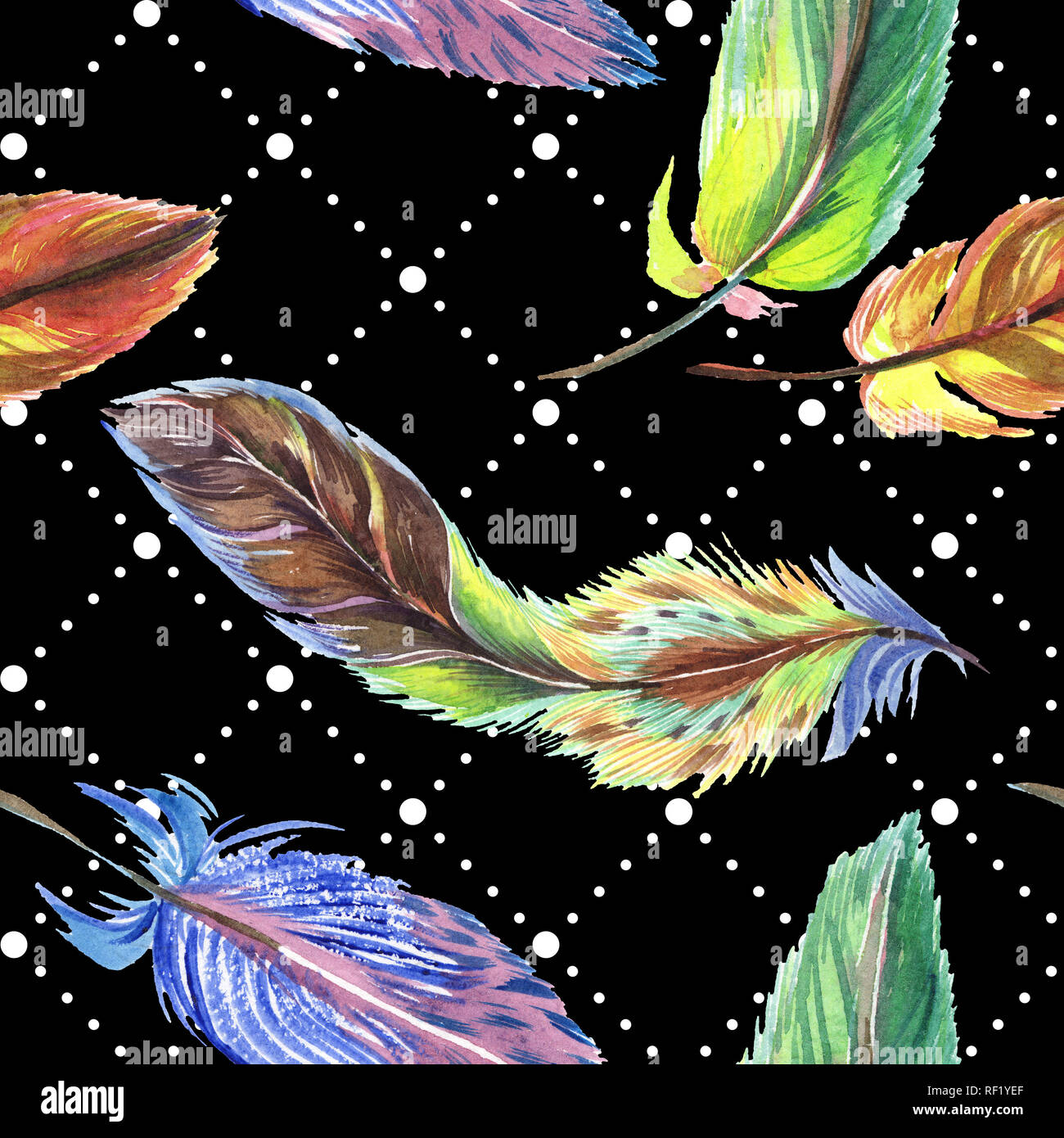 Colorful feathers. Watercolor bird feather from wing isolated ...