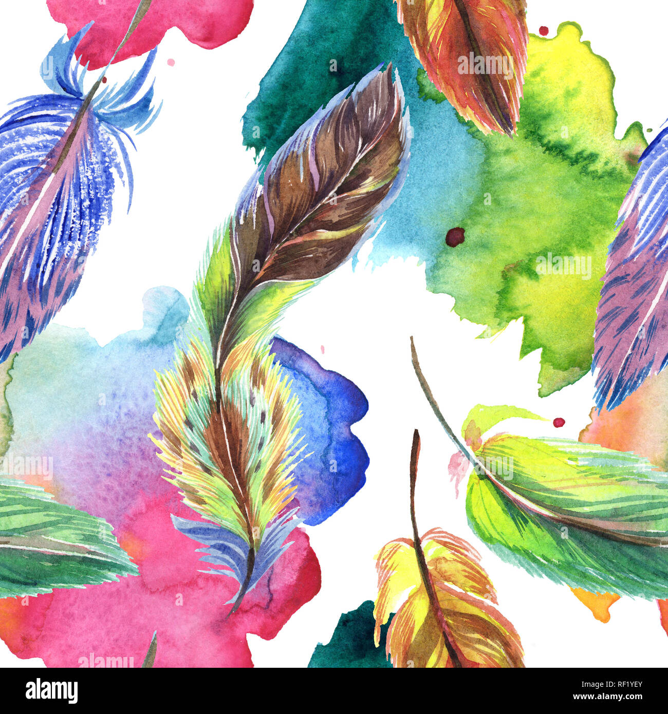 Colorful feathers. Watercolor bird feather from wing isolated ...