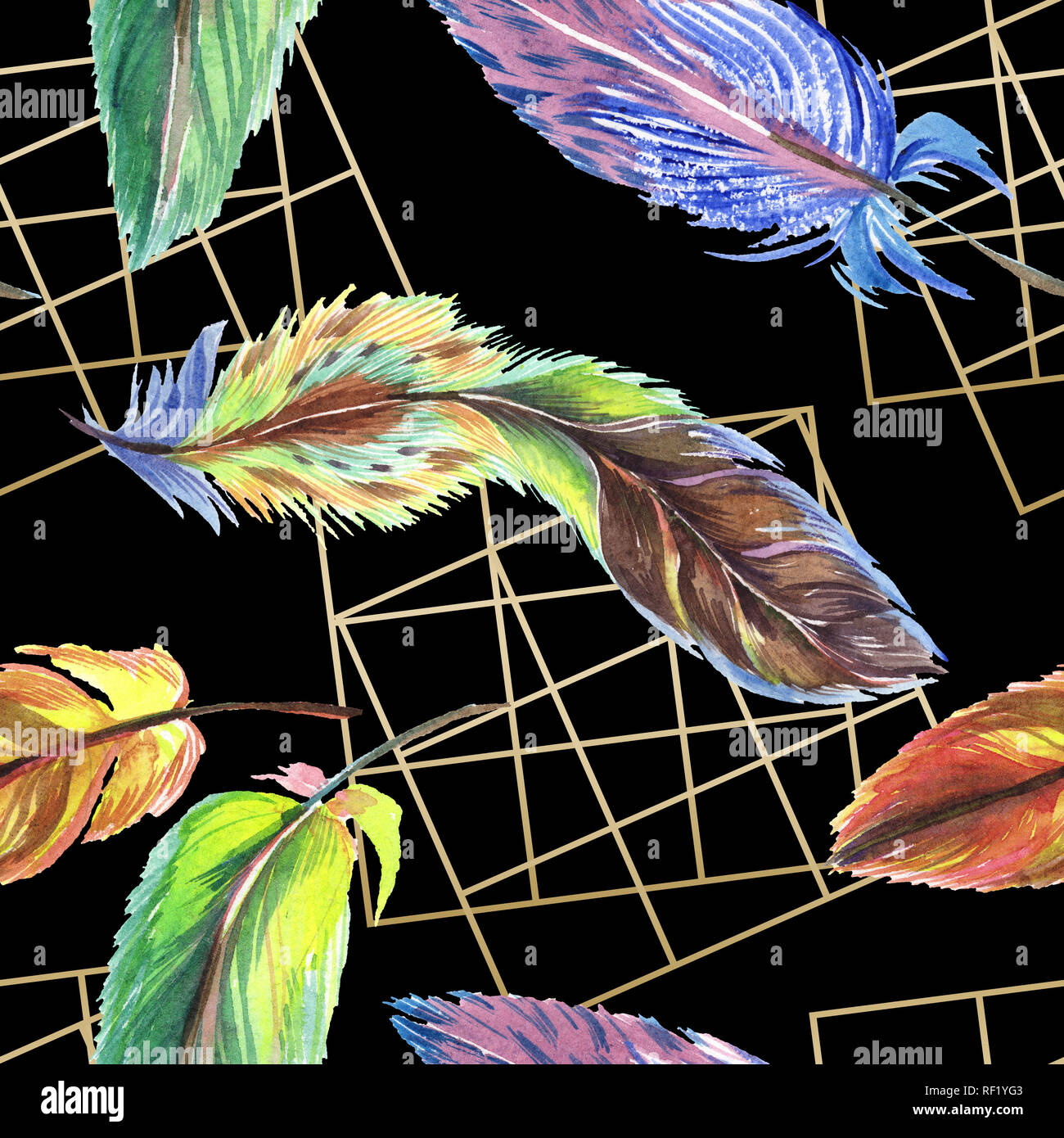 Colorful feathers. Watercolor bird feather from wing isolated ...