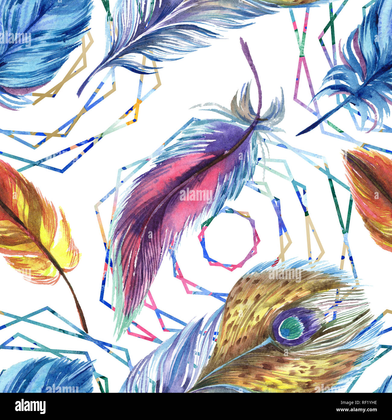 Colorful feathers. Watercolor bird feather from wing isolated ...
