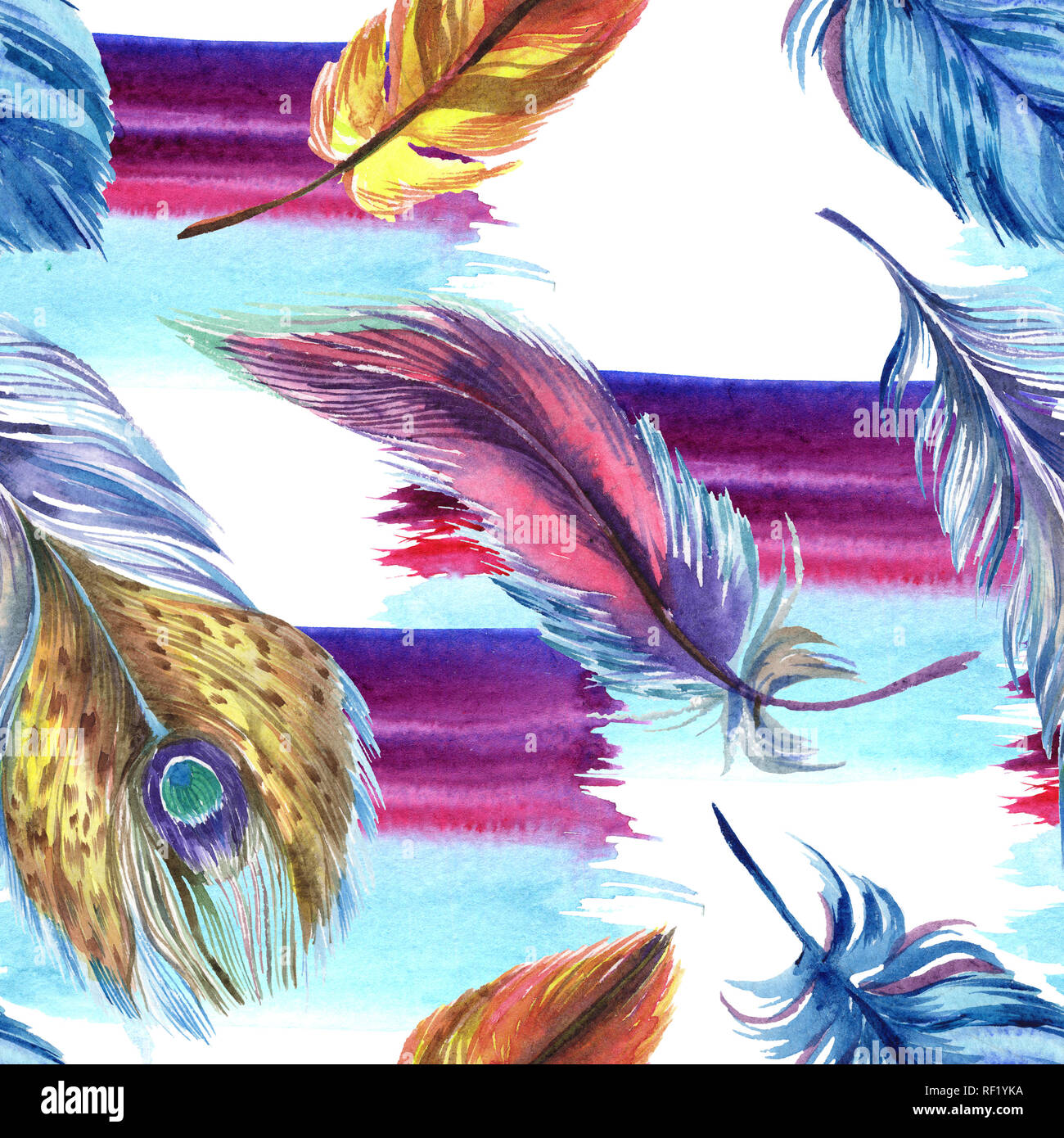 Colorful feathers. Watercolor bird feather from wing isolated ...