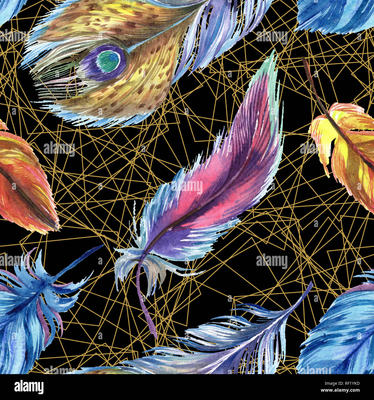 Colorful feathers. Watercolor bird feather from wing isolated ...
