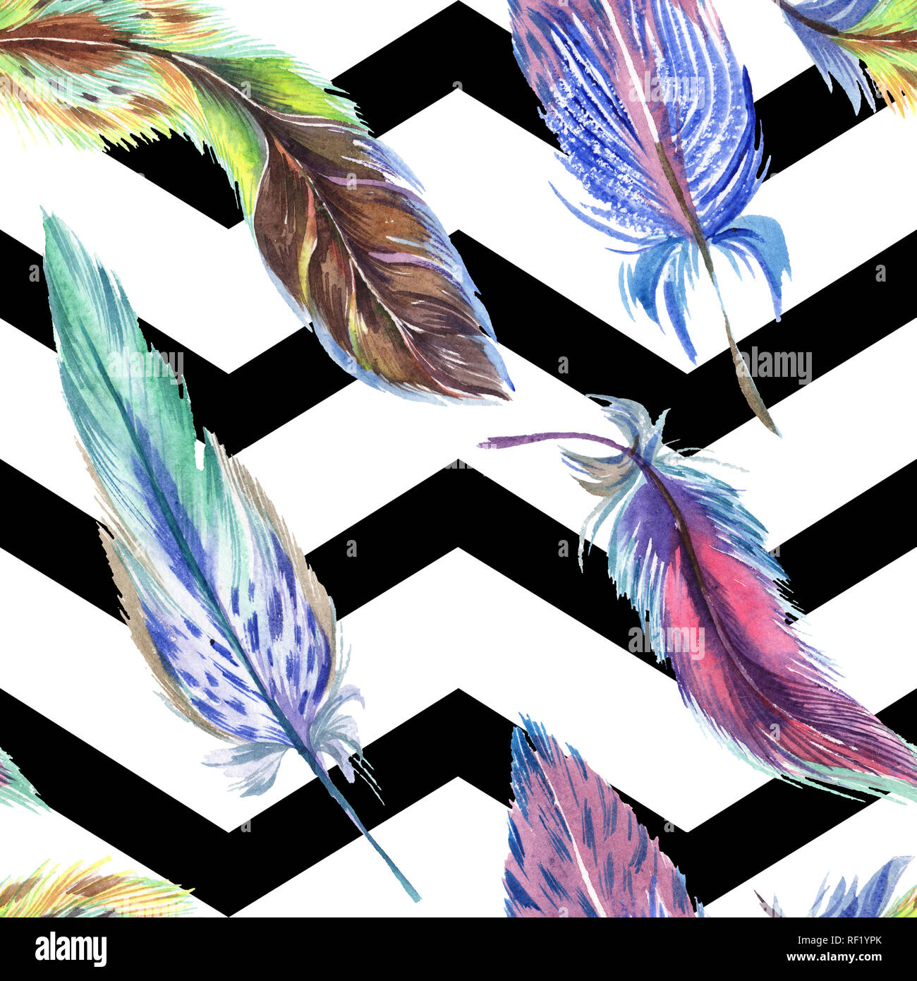 Colorful feathers. Watercolor bird feather from wing isolated ...