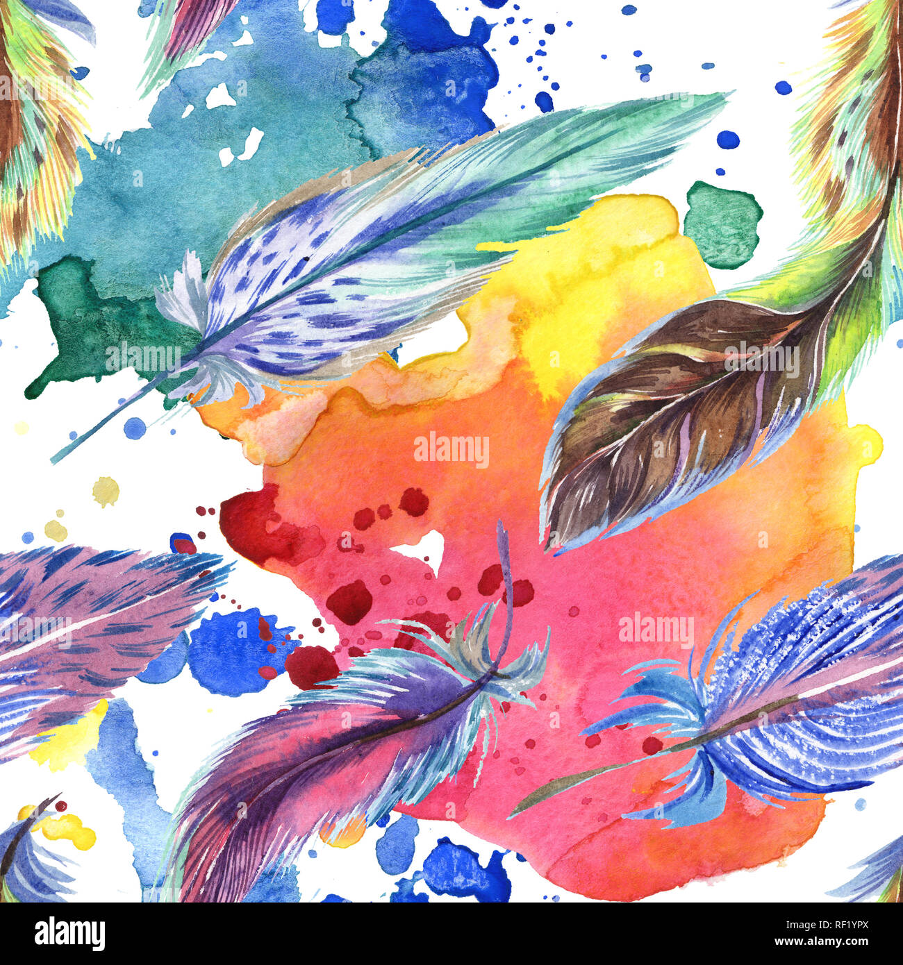 Colorful feathers. Watercolor bird feather from wing isolated ...