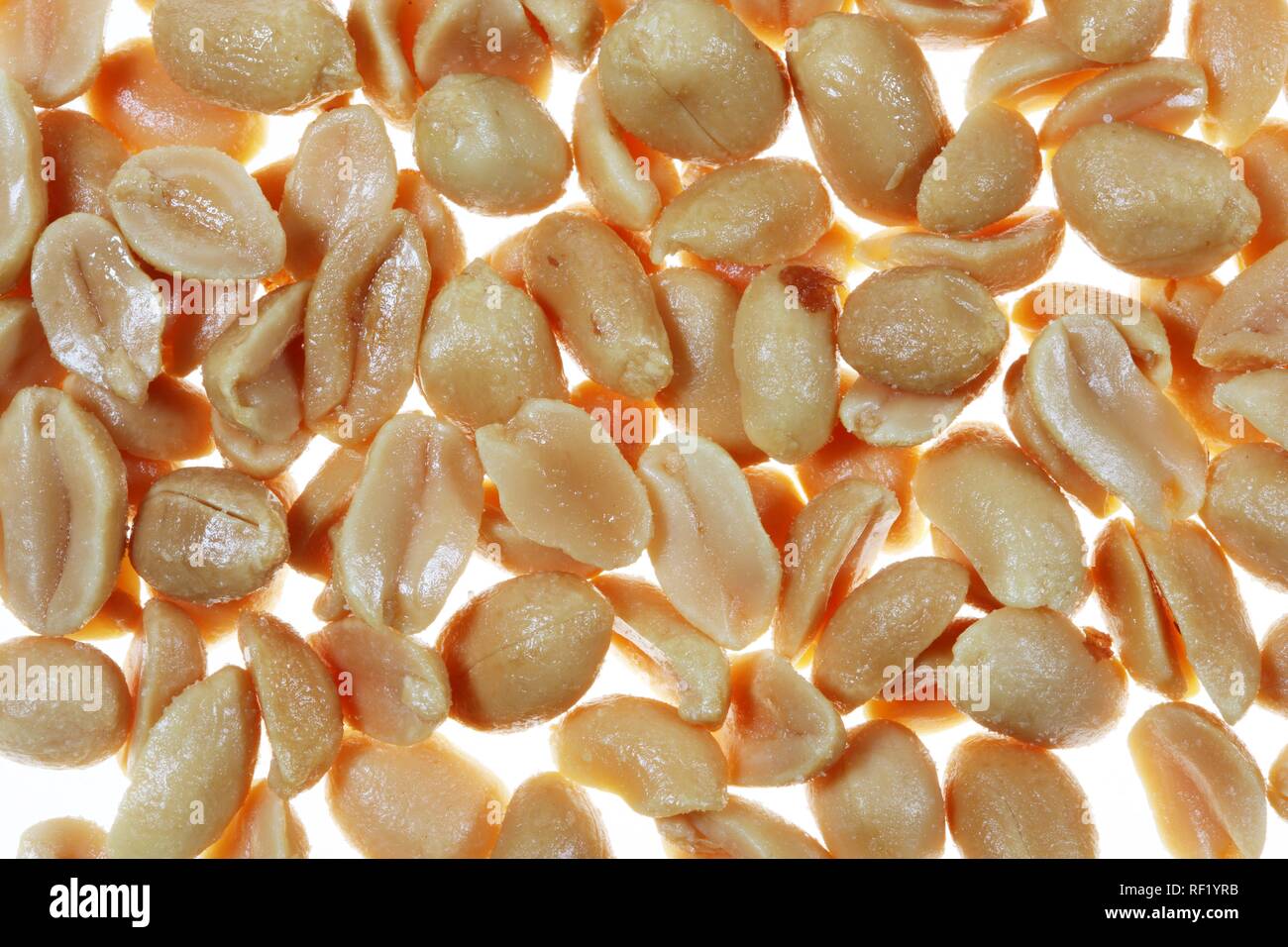 Salted peanuts Stock Photo