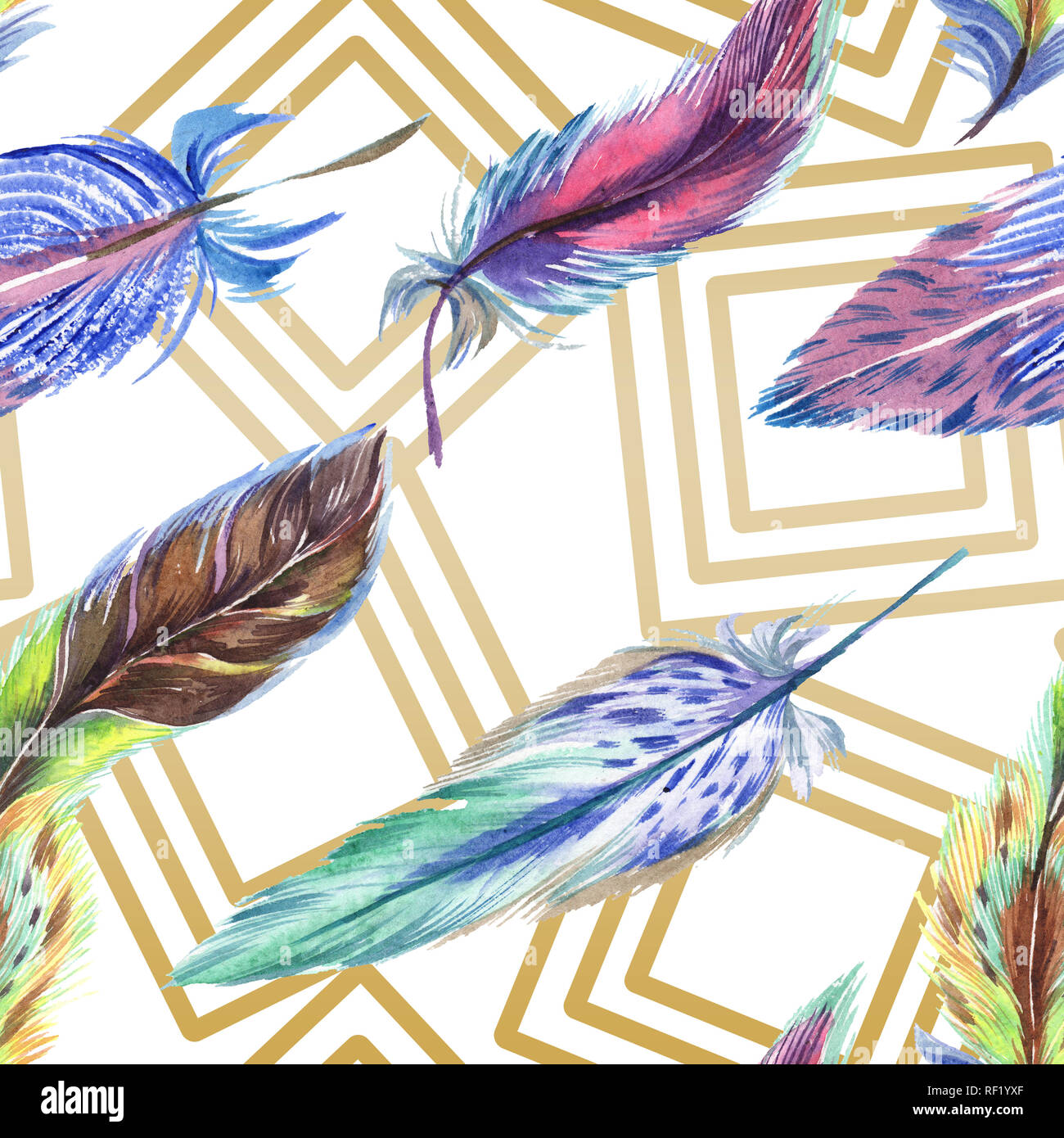 Colorful feathers. Watercolor bird feather from wing isolated ...