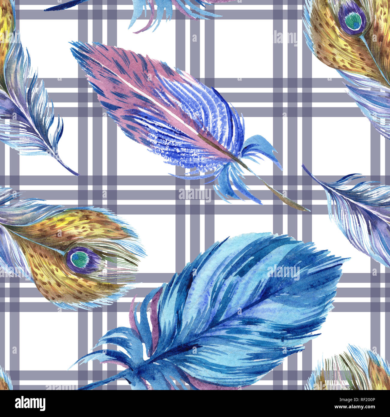 Colorful feathers. Watercolor bird feather from wing isolated ...
