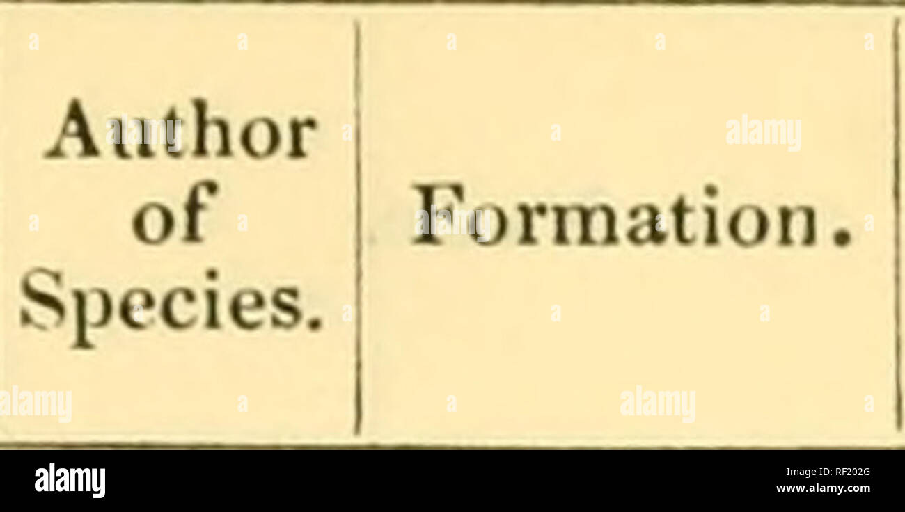 . Catalogue of the Cretaceous fossils in the Museum of Practical Geology. UPPER CHALK. 89 C il a Si u ,&quot; a. ^ cc Name.. Locality. xzxz, Shelf. 4 77 78 79 80 81 Sla 82 83 84 85 86 87 1 2 3 4 5 6 7 8 9 10 11 12 13 14 15 16 16a Drawer. 50 1 2 3 4 5 6 7 8 9 10 11 11a 12 13 14 15 16 17 Sfongida—co7if. Cliona cretacea Mantelli sp. Cceloptychium Belfastensis „ furcatutn - Coscinopora globularis (49) urceolata (12) (12) sp. - » (12) - &quot; (12) - Sponge spicules „ tubes in flint Spongia - - - Ventriculites decurrens „ muricatus Portl. Weth. Tate Phil, Smith mammillaris- tenuiplicatus -1 Brachio Stock Photo