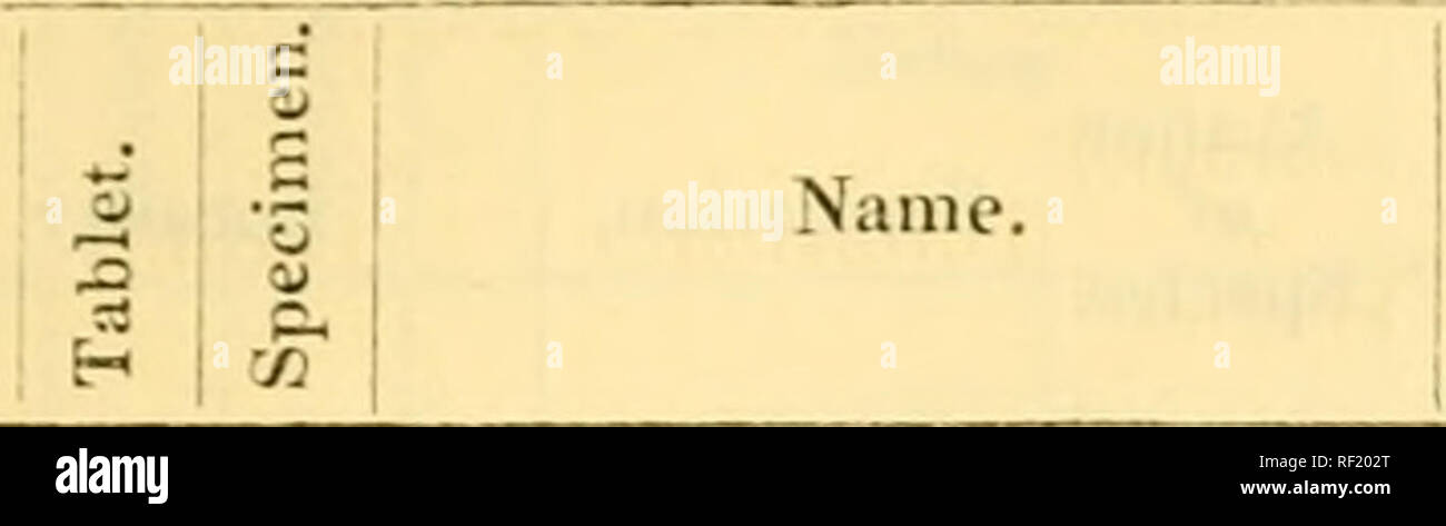 Catalogue Of The Cretaceous Fossils In The Museum Of Practical Geology Upper Gkeknsand 47 Author Of Species Form Itioii Locality Xii Shelf 4 A Kl Hinoilellmata Rotlt 1 Cardiaster Fossariiis Benett 19 Catalogue Of The Cretaceous Fossils In The Museum Of Practical Geology Upper Gkeknsand 47 Author Of Species Form Itioii Locality Xii Shelf 4 A Kl Hinoilellmata Rotlt 1 Cardiaster Fossariiis Benett 19