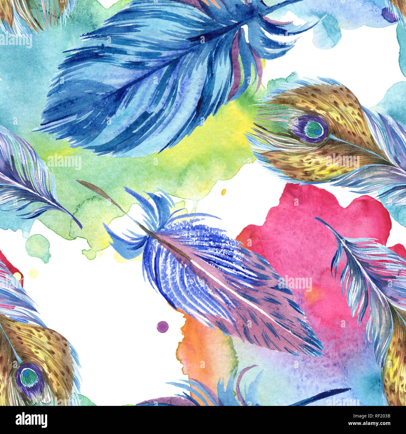 Colorful feathers. Watercolor bird feather from wing isolated ...