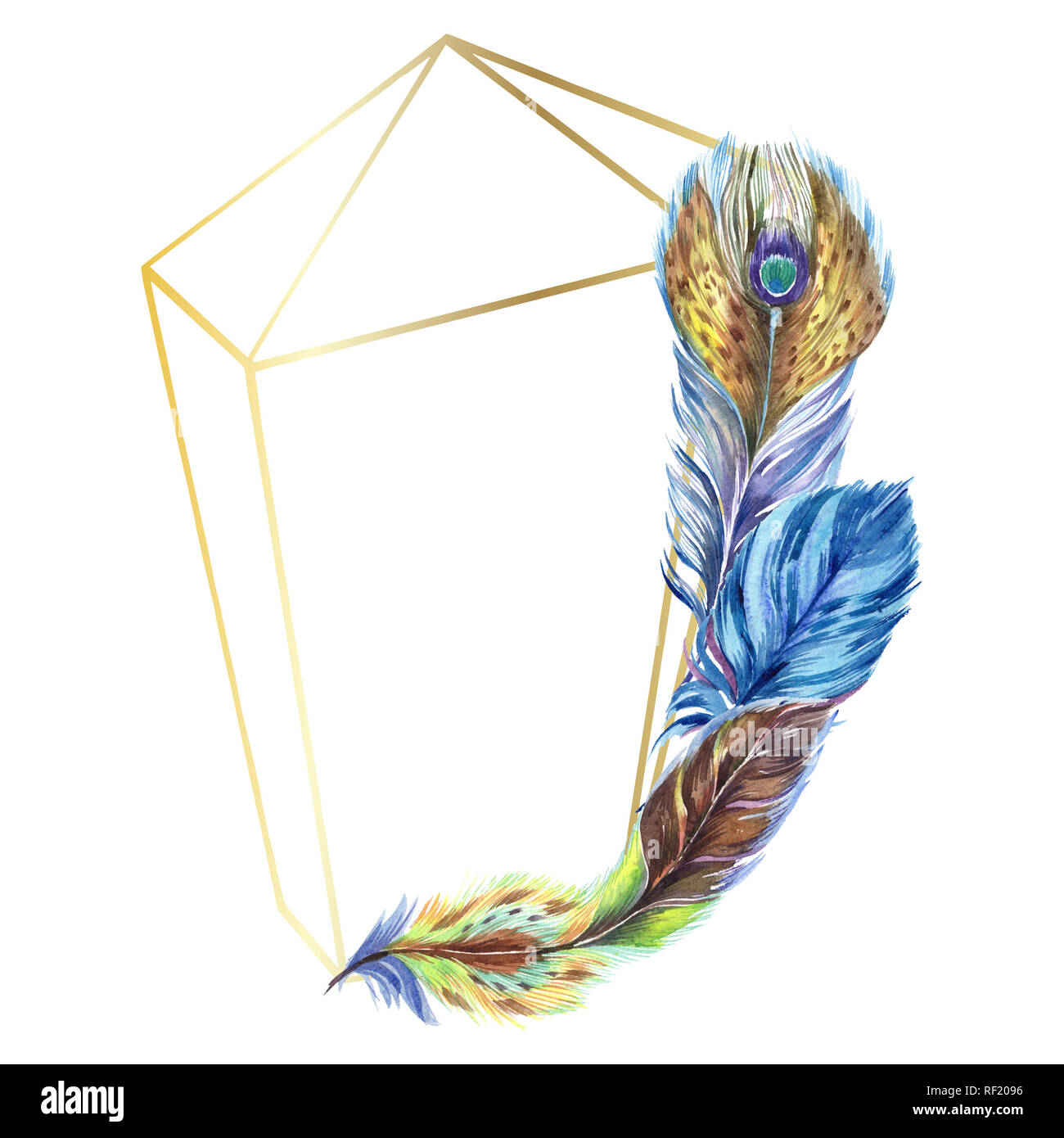Colorful feathers. Watercolor bird feather from wing isolated ...