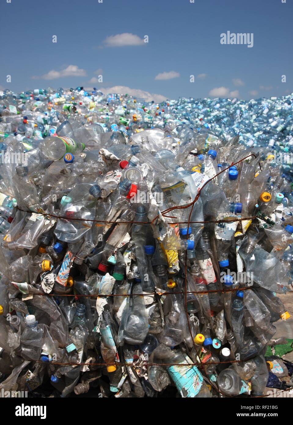 Plastic recycling, PET bottles and plastic rubbish are shredded and ...