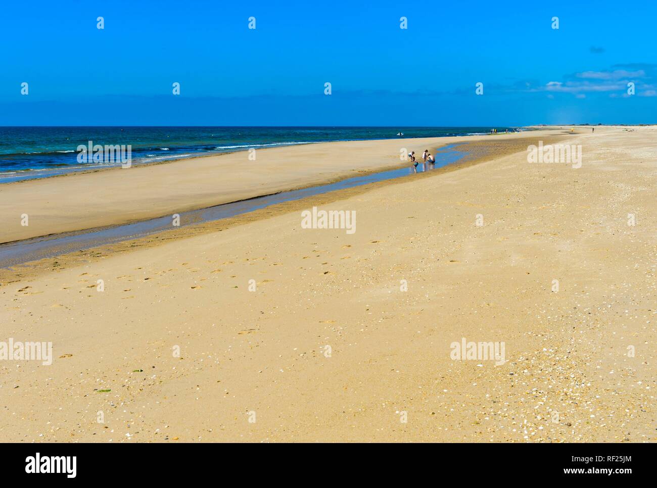 Wide sandy beach on Tavira Island, Ilha de Tavira, Tavira, Algarve, Portugal Stock Photo