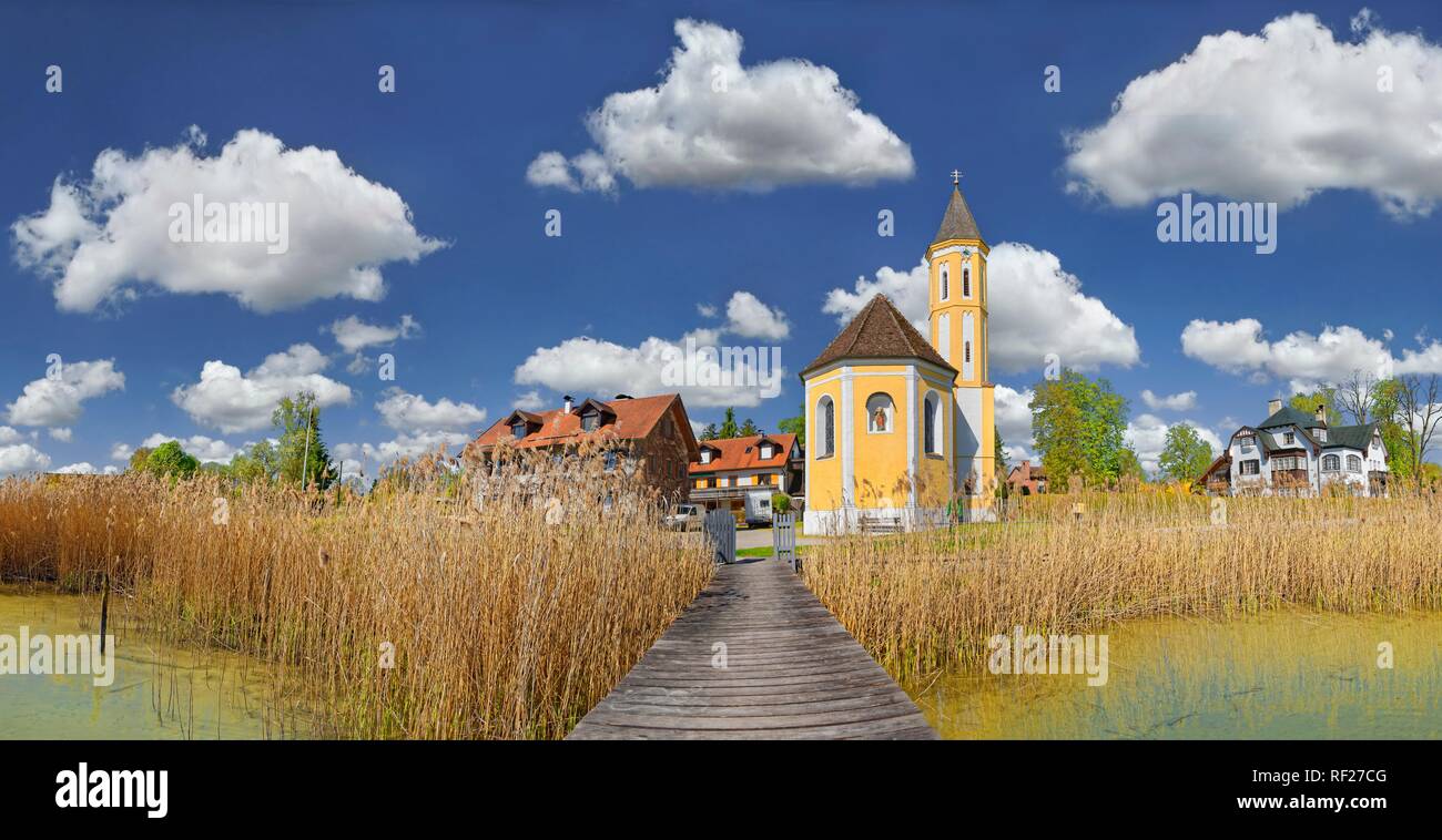 Reed-covered shore at the Lake Ammer and the Sant Alban church with white blue sky, Dießen, Lake Ammer, Bavaria, Germany Stock Photo