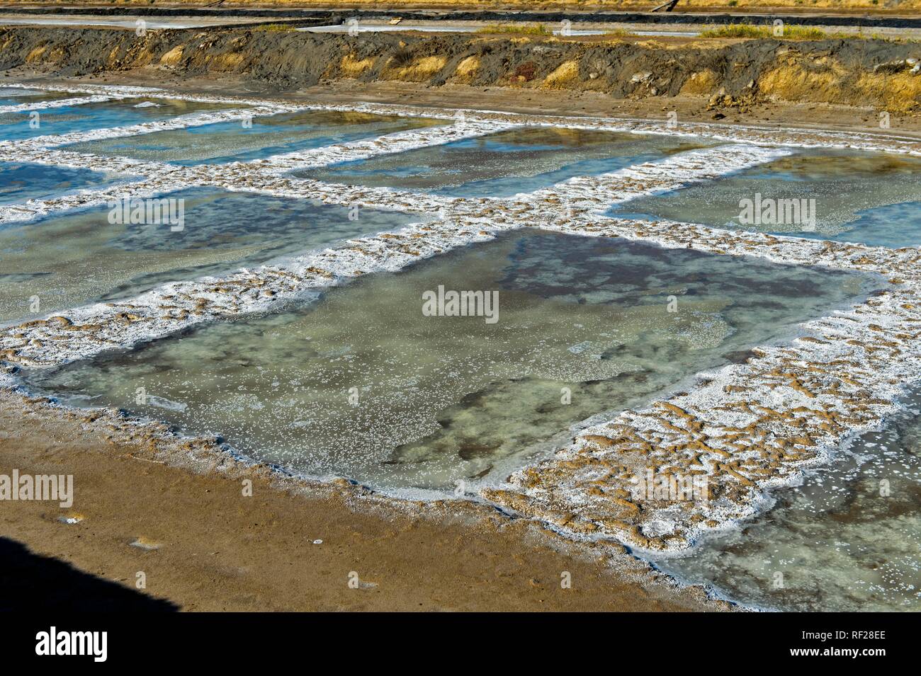 Sea salt extraction, evaporation basin of a sea water saline with crystallized sea salt, Tavira, Algarve, Portugal Stock Photo