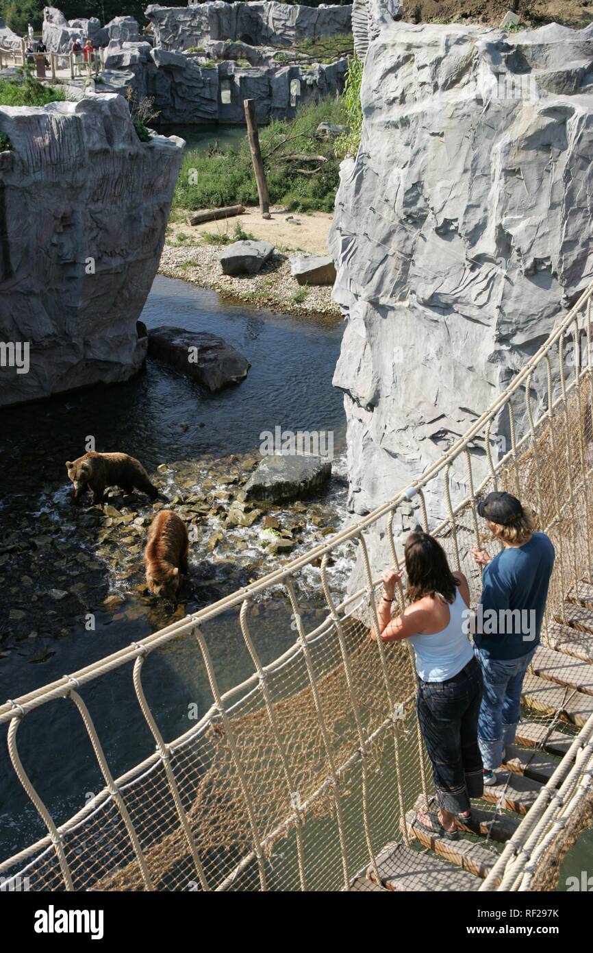 Suspension Bridge going over a river in the Kodiak Bear (Ursus arctos