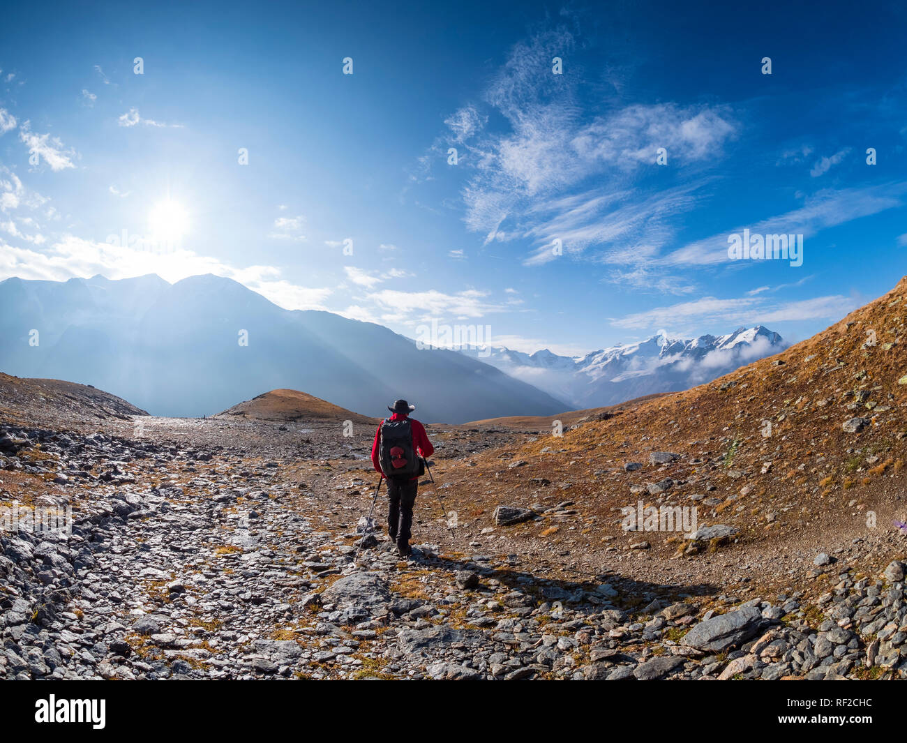 Italy, Trentino, Monte Cevedale, Punta San Matteo, Forno glacier, hiker Stock Photo