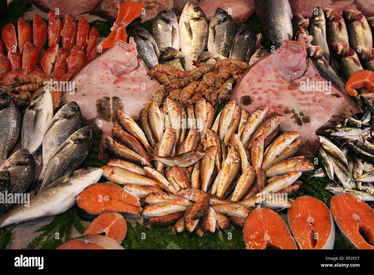 Different types of fish displayed in a fish shop, Istanbul, Turkey Stock Photo