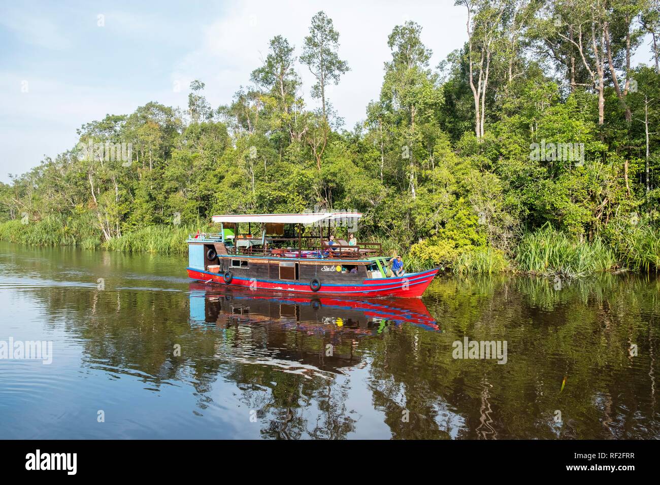 Boat (Klotok) on river Sungai Sekonyer in Tanjung Puting National Park, Central Kalimantan, Borneo, Indonesia Stock Photo