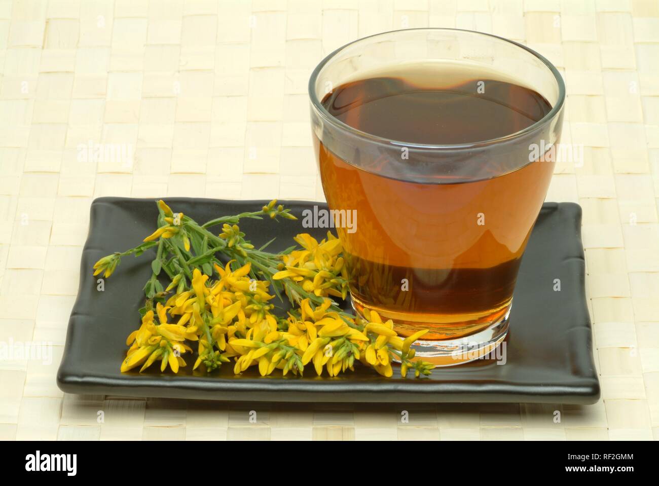 Dyer's Greenweed (Genista tinctoria), herbal tea Stock Photo