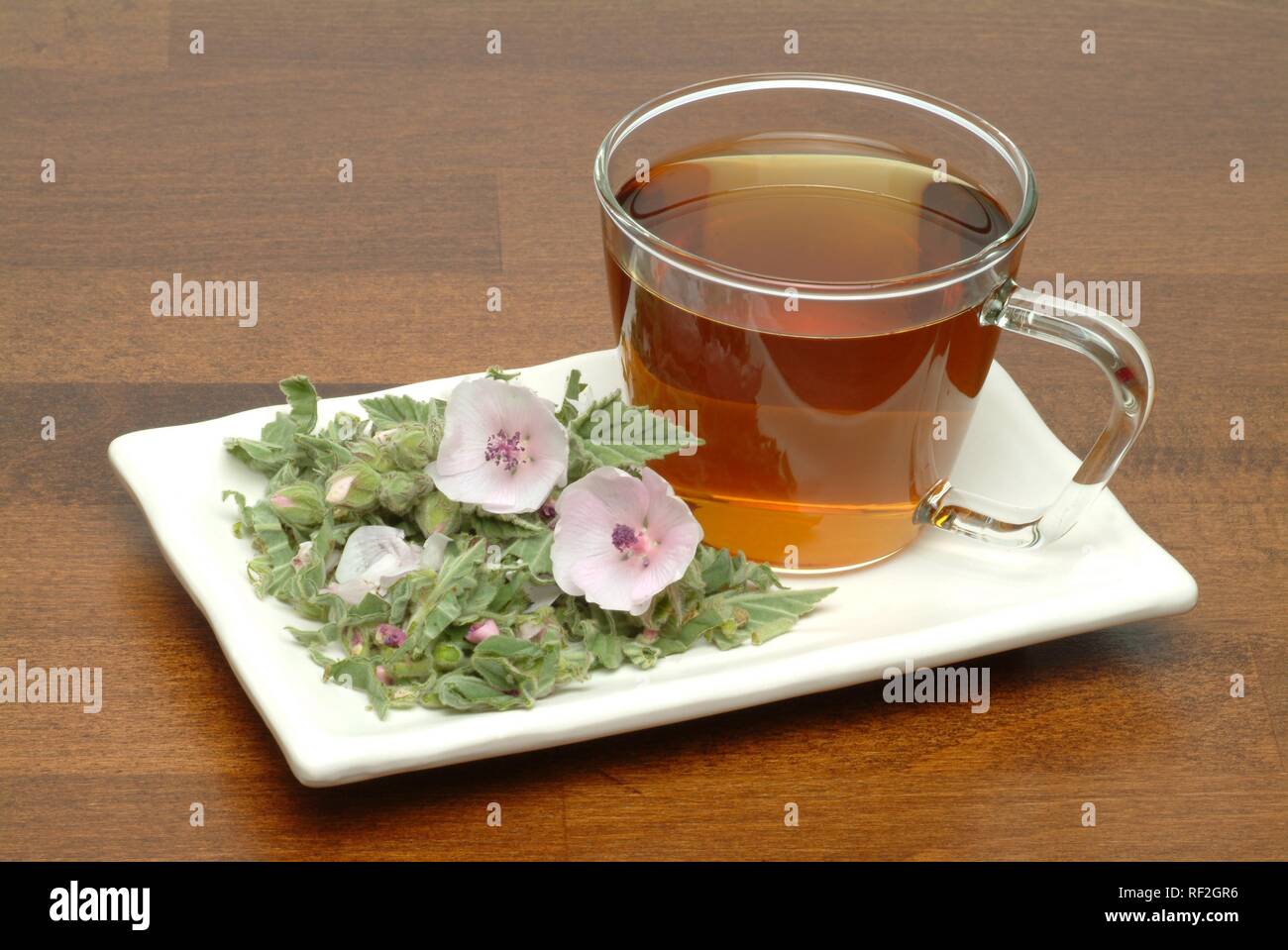 Common Marshmallow or Marsh Mallow (Althaea officinalis), herbal tea
