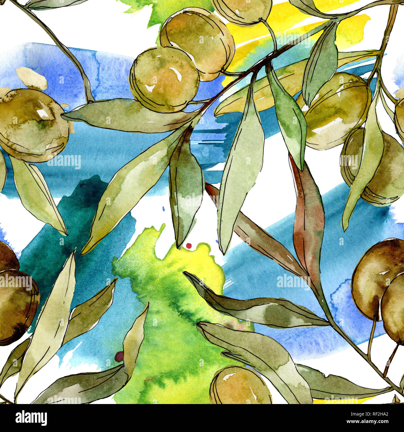 Green olives watercolor background illustration set. Watercolour ...