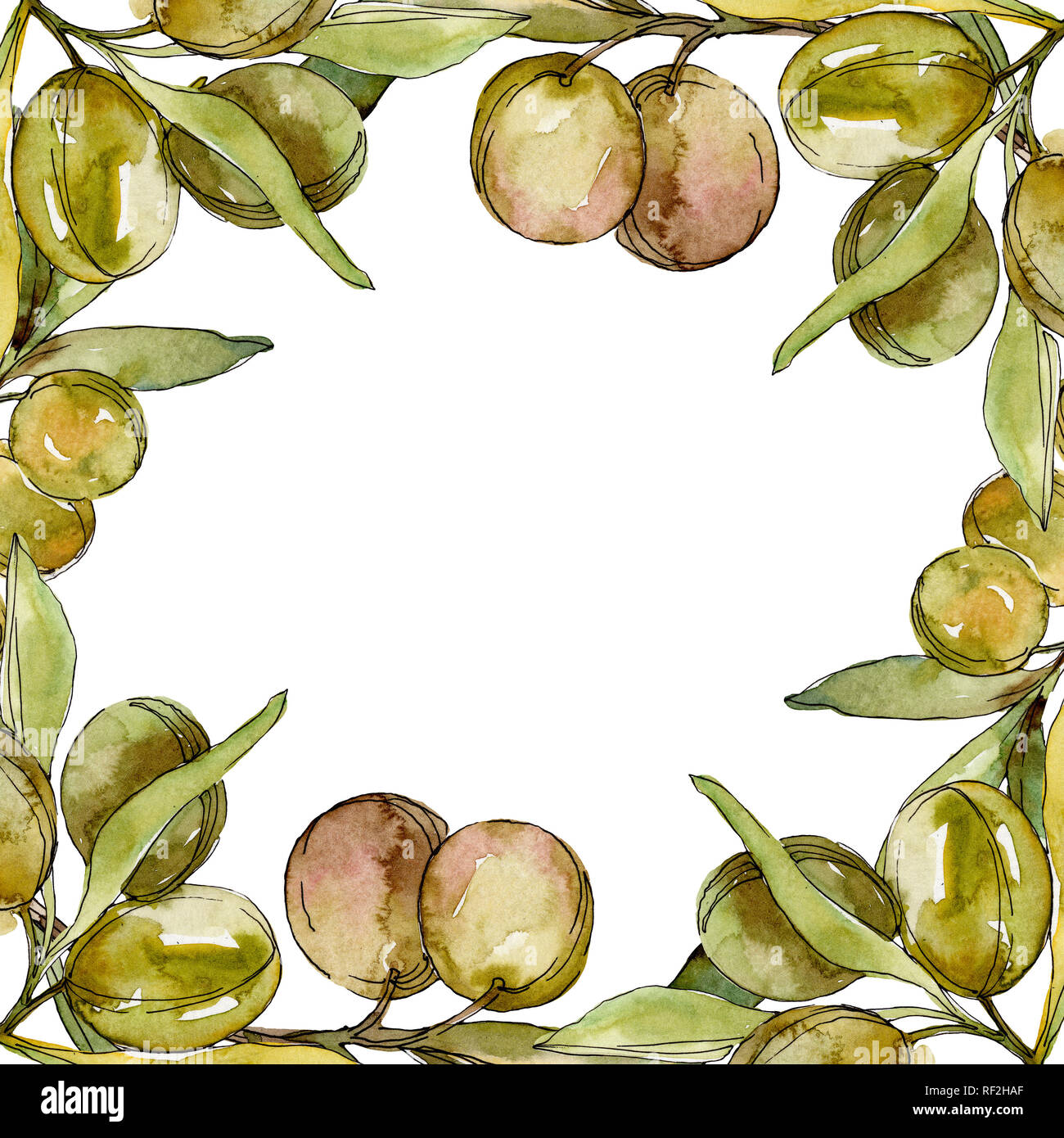 Green olives watercolor background illustration set. Watercolour ...