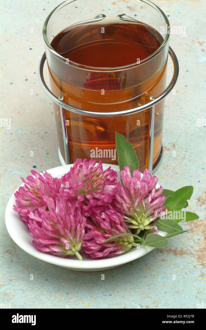 Red Clover (Trifolium pratense), tea made from blossoms and leaves