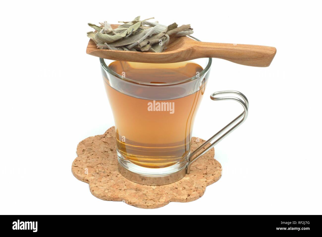Common Sage (Salvia officinalis), herbal tea, medicinal tea Stock Photo Alamy