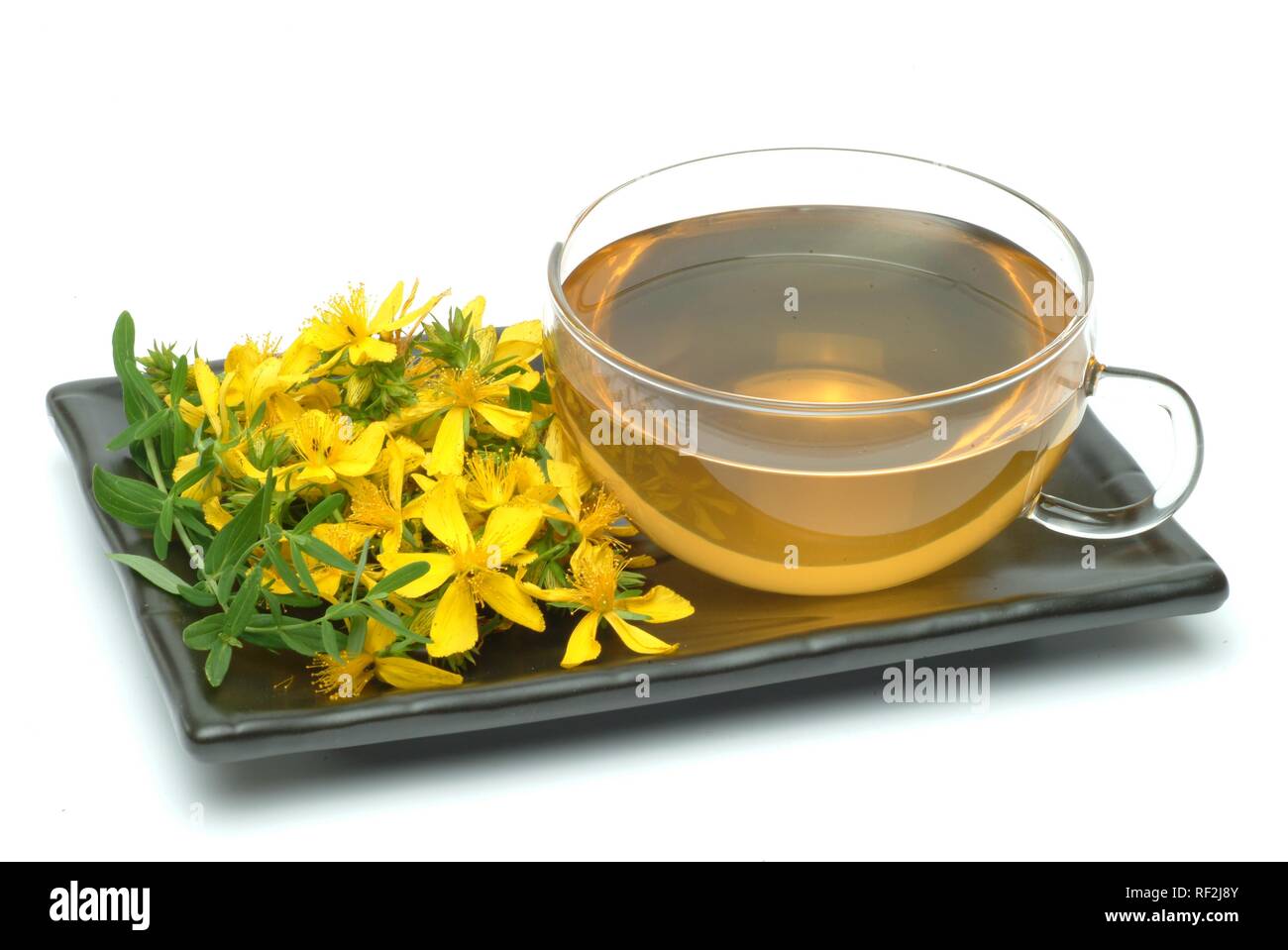 St. John's Wort or Tipton's Weed (Hypericum perforatum), herbal tea, medicinal tea Stock Photo