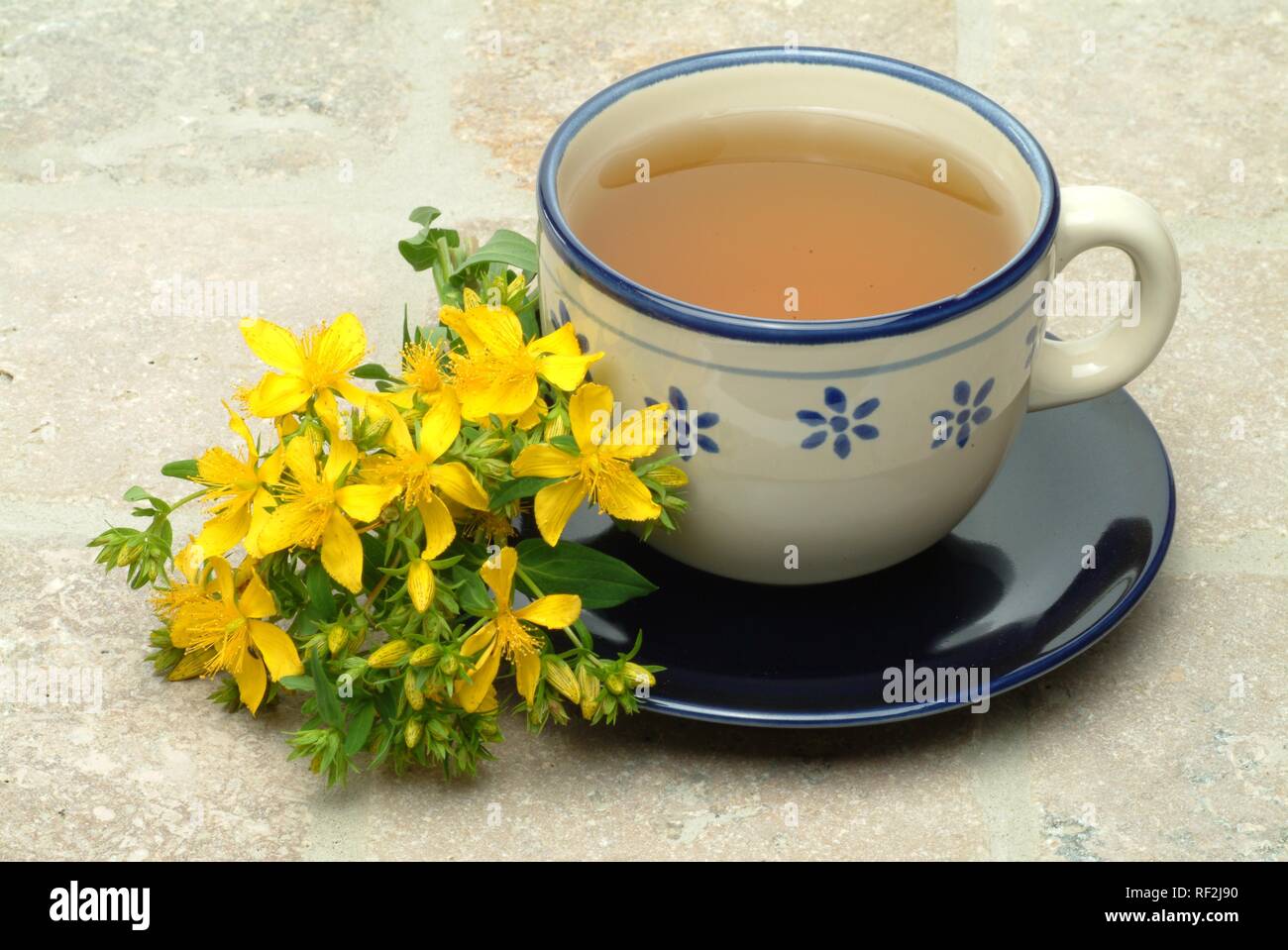 St. John's Wort or Tipton's Weed (Hypericum perforatum), herbal tea, medicinal tea Stock Photo