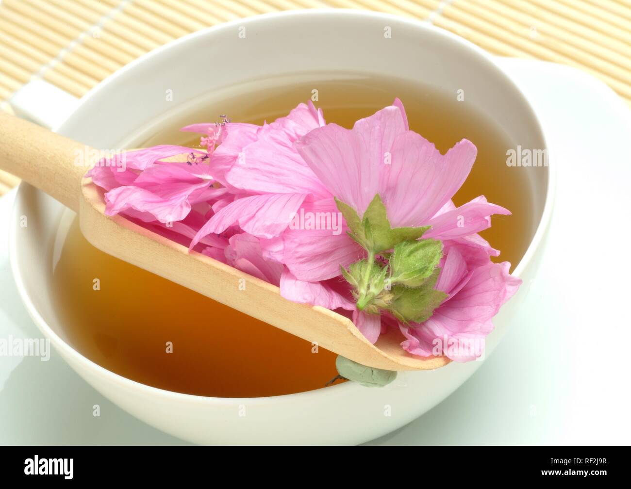 Musk-Mallow (Malva moschata), herbal tea Stock Photo