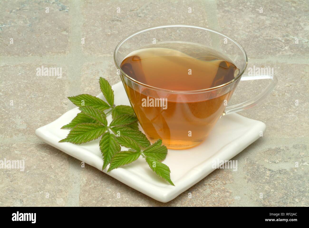Musk-Mallow (Malva moschata), herbal tea Stock Photo