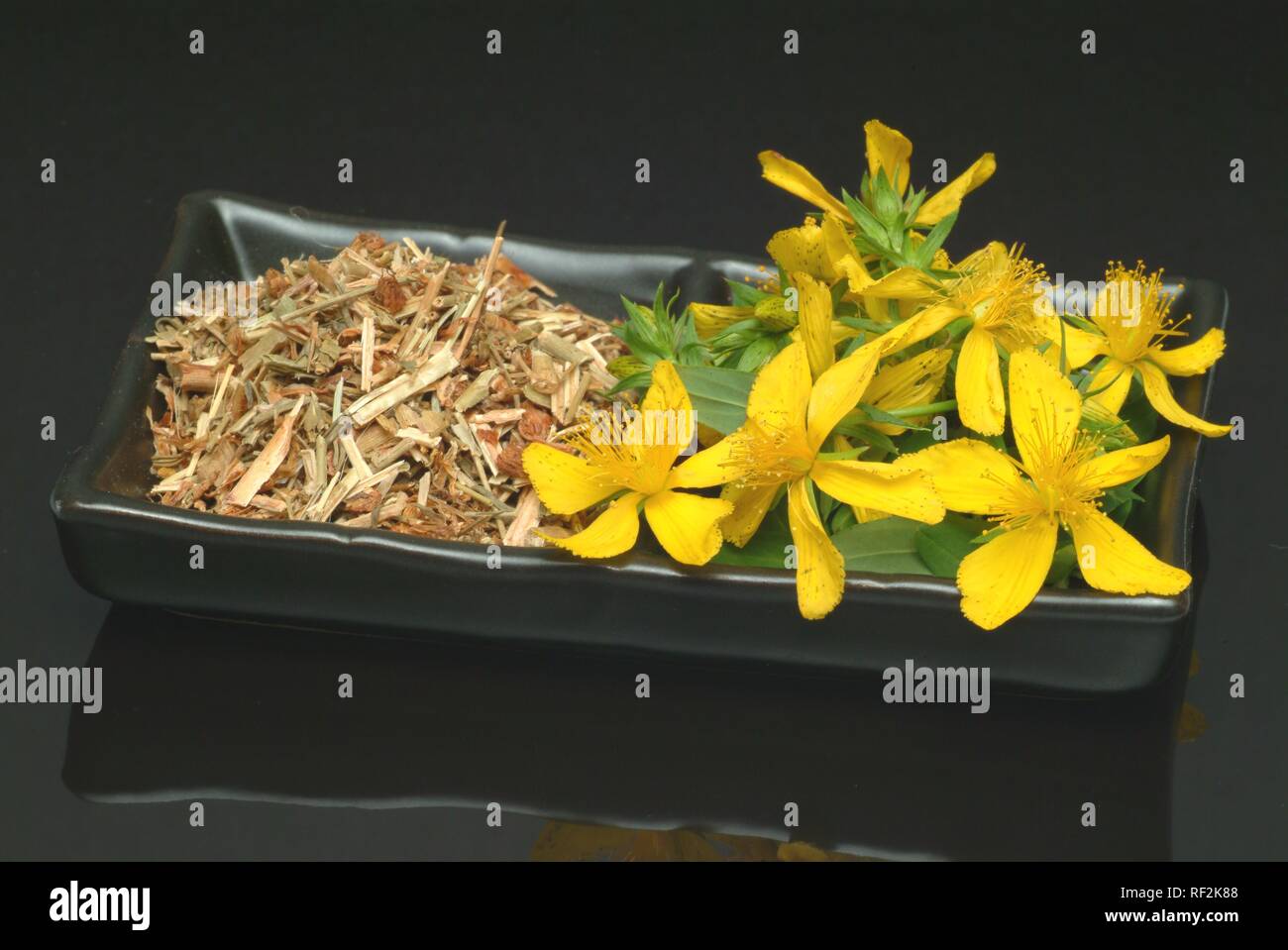 St. John´s Wort (Hypericum perforatum), dried and fresh blossoms, medicinal plant, herb Stock Photo