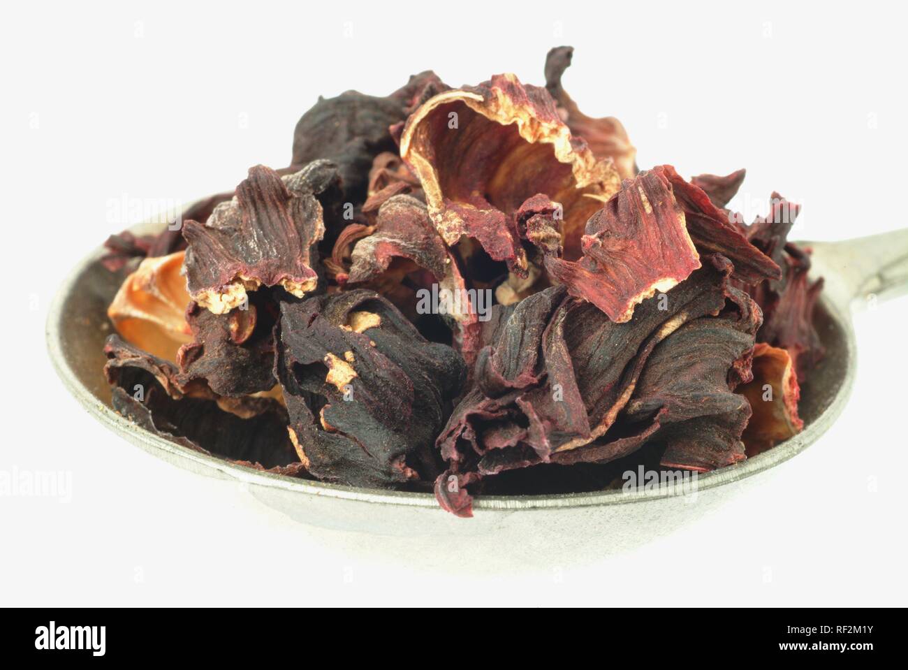 Dried Roselle (Hibiscus sabdariffa) in a measuring spoon, medicinal plant Stock Photo